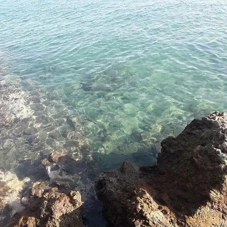 Burrero Seasight *